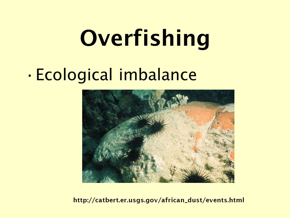 Overfishing Ecological imbalance