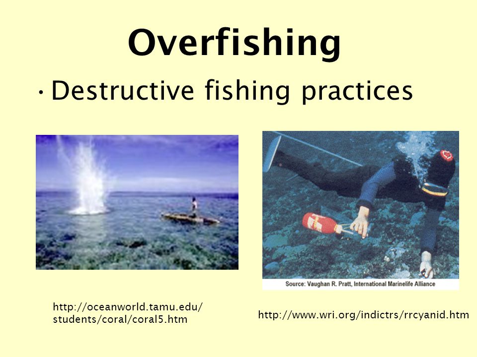 students/coral/coral5.htm   Overfishing Destructive fishing practices