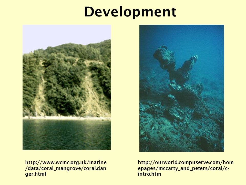 /data/coral_mangrove/coral.dan ger.html   epages/mccarty_and_peters/coral/c- intro.htm Development