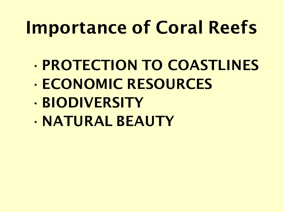 Importance of Coral Reefs PROTECTION TO COASTLINES ECONOMIC RESOURCES BIODIVERSITY NATURAL BEAUTY