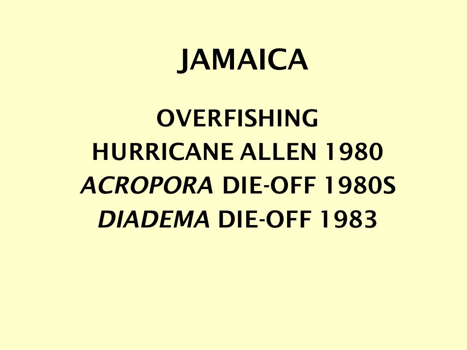 OVERFISHING HURRICANE ALLEN 1980 ACROPORA DIE-OFF 1980S DIADEMA DIE-OFF 1983 JAMAICA