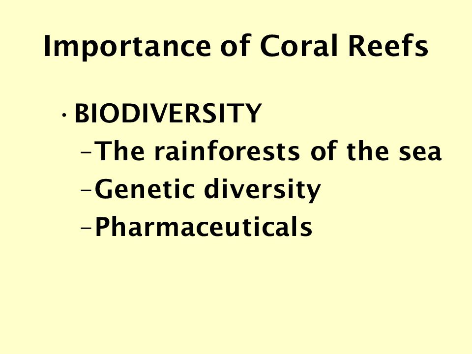 Importance of Coral Reefs BIODIVERSITY –The rainforests of the sea –Genetic diversity –Pharmaceuticals