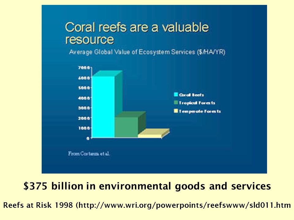 $375 billion in environmental goods and services Reefs at Risk 1998 (