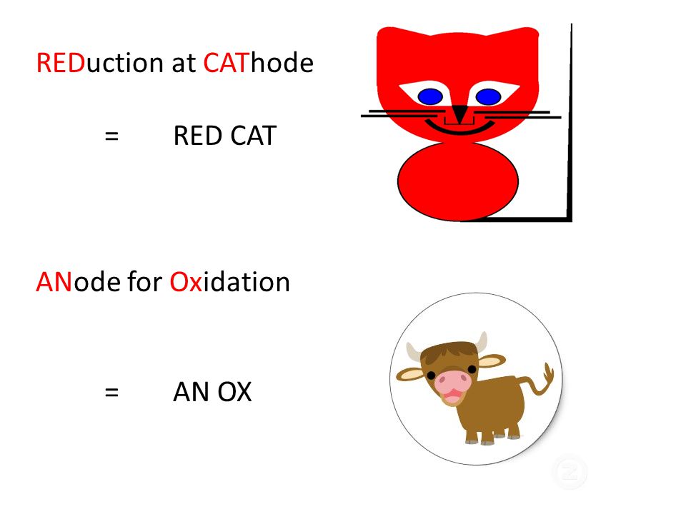 Oxidation and reduction reactions occur in many chemical systems. Examples include rusting of iron, the action of bleach on stains, and the reactions. -