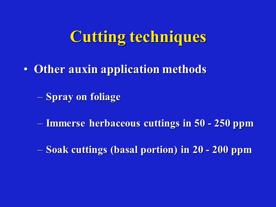 Cutting techniques Other auxin application methodsOther auxin application methods –Spray on foliage –Immerse herbaceous cuttings in ppm –Soak cuttings (basal portion) in ppm