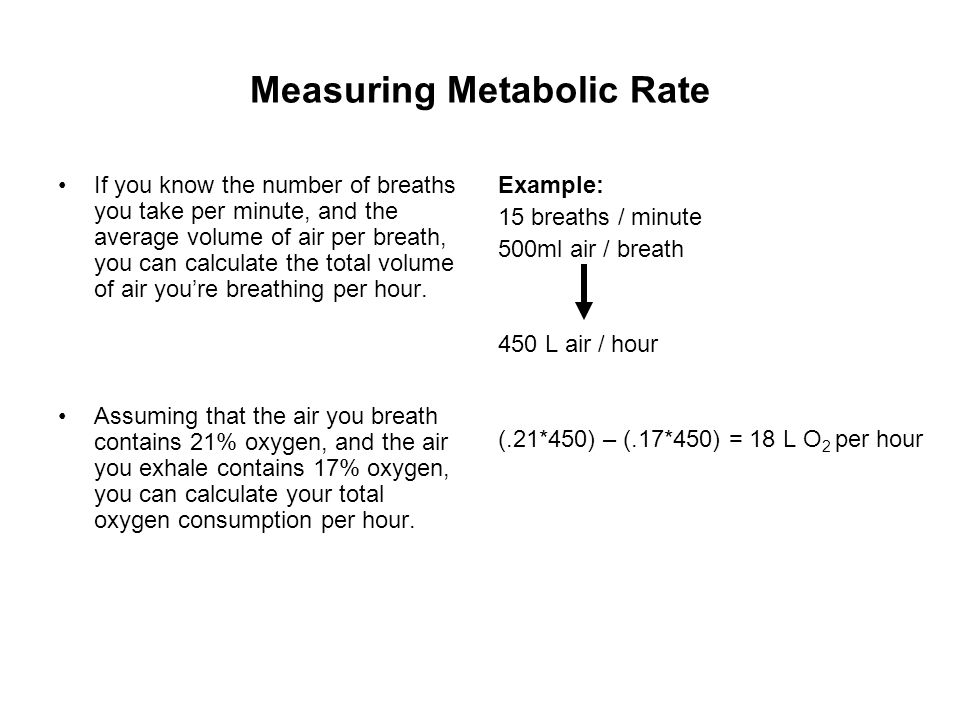 Learning Module 3: Measuring Metabolic Rate Clark J Cotton. - ppt download