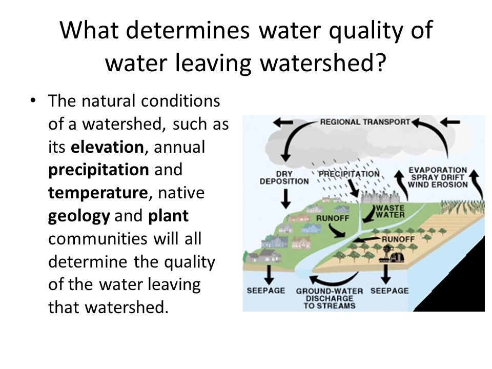 What determines water quality of water leaving watershed.