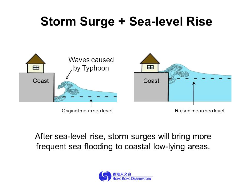 Storm Surge + Sea-level Rise Waves caused by Typhoon Raised mean sea level Coast Original mean sea level After sea-level rise, storm surges will bring more frequent sea flooding to coastal low-lying areas.