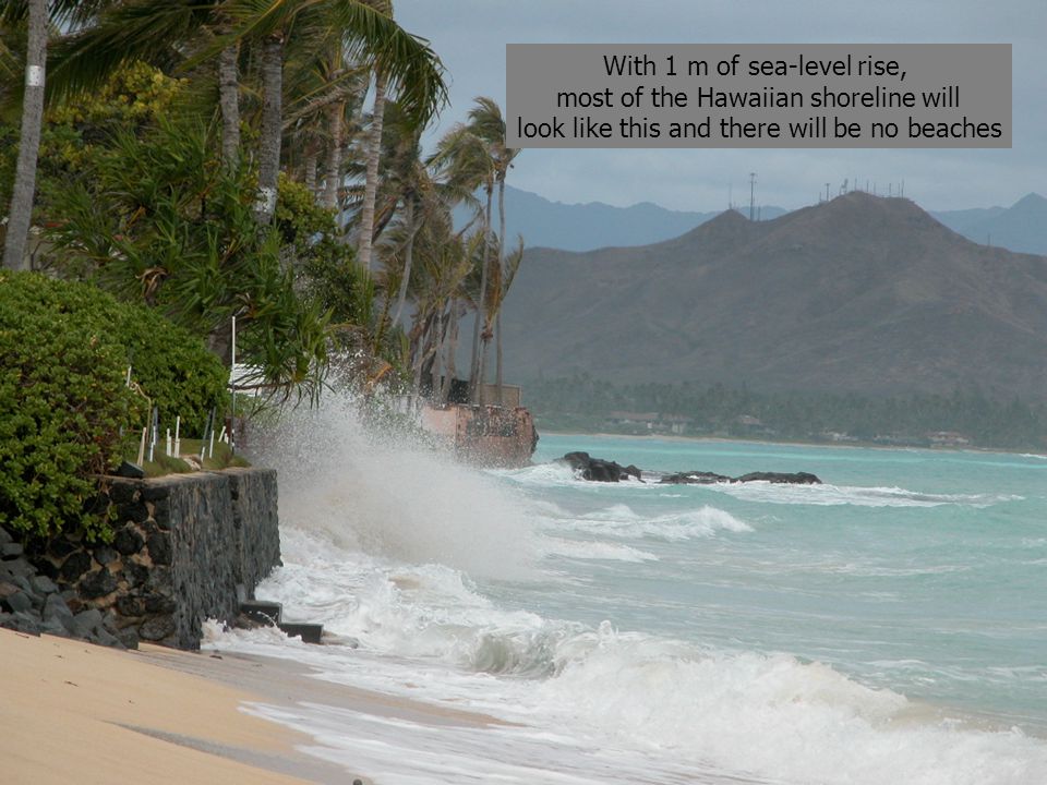 With 1 m of sea-level rise, most of the Hawaiian shoreline will look like this and there will be no beaches