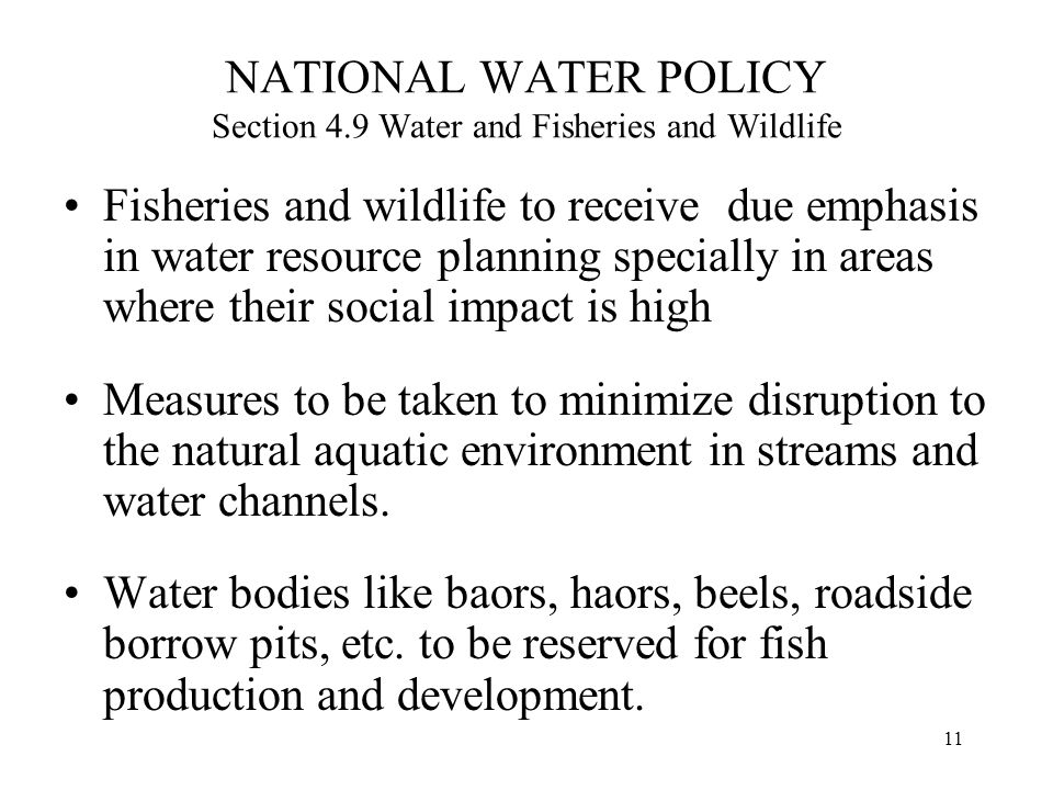 11 NATIONAL WATER POLICY Section 4.9 Water and Fisheries and Wildlife Fisheries and wildlife to receive due emphasis in water resource planning specially in areas where their social impact is high Measures to be taken to minimize disruption to the natural aquatic environment in streams and water channels.