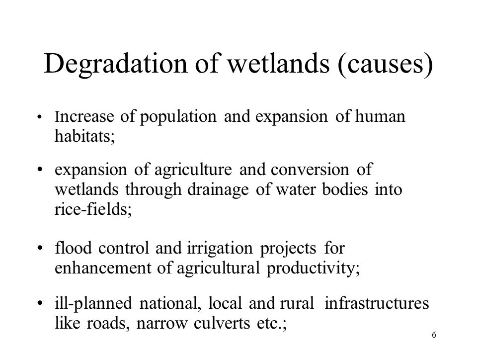 6 Degradation of wetlands (causes) I ncrease of population and expansion of human habitats; expansion of agriculture and conversion of wetlands through drainage of water bodies into rice-fields; flood control and irrigation projects for enhancement of agricultural productivity; ill-planned national, local and rural infrastructures like roads, narrow culverts etc.;
