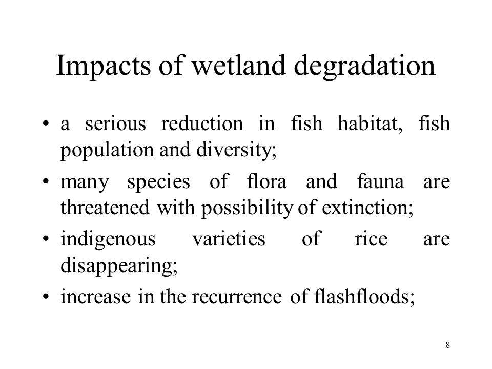 8 Impacts of wetland degradation a serious reduction in fish habitat, fish population and diversity; many species of flora and fauna are threatened with possibility of extinction; indigenous varieties of rice are disappearing; increase in the recurrence of flashfloods;