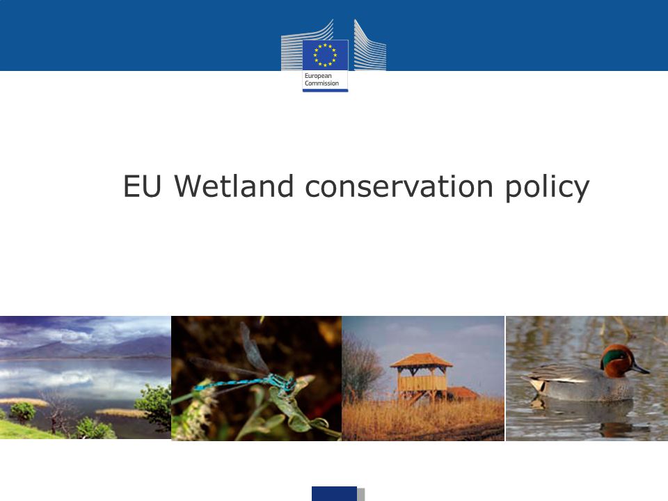 EU Wetland conservation policy