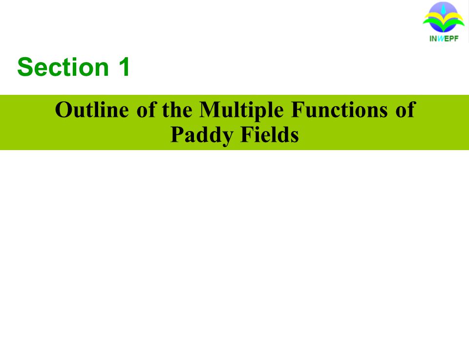 Section 1 Outline of the Multiple Functions of Paddy Fields