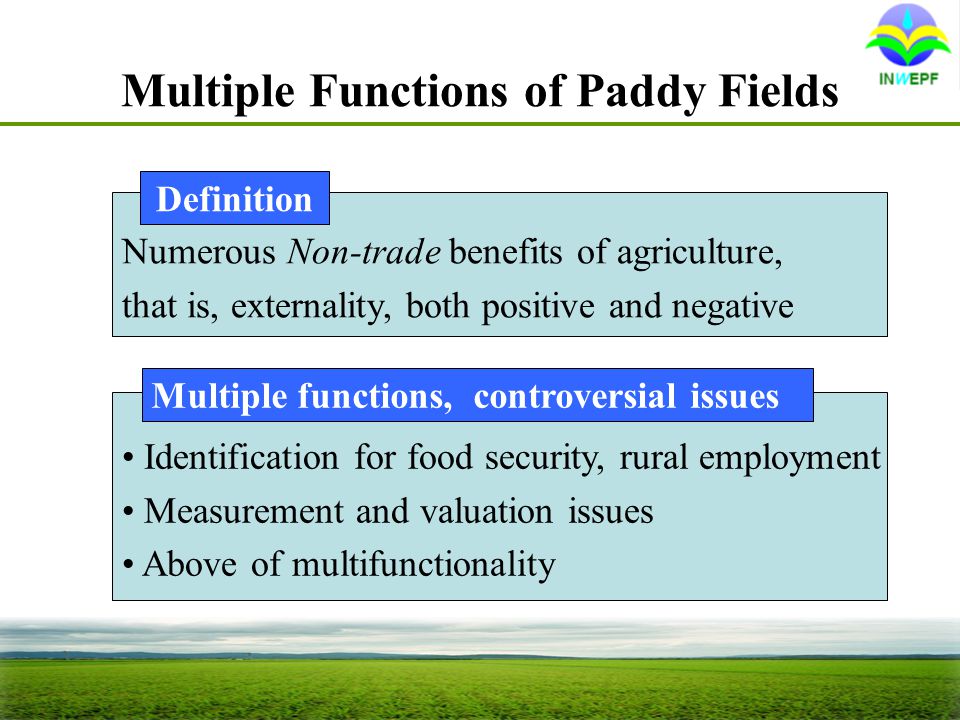 Identification for food security, rural employment Measurement and valuation issues Above of multifunctionality Numerous Non-trade benefits of agriculture, that is, externality, both positive and negative Multiple Functions of Paddy Fields Definition Multiple functions, controversial issues