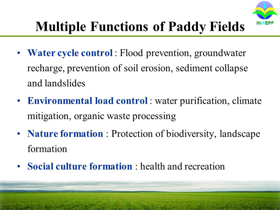 Multiple Functions of Paddy Fields Water cycle control : Flood prevention, groundwater recharge, prevention of soil erosion, sediment collapse and landslides Environmental load control : water purification, climate mitigation, organic waste processing Nature formation : Protection of biodiversity, landscape formation Social culture formation : health and recreation