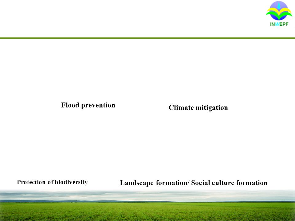 Flood prevention Climate mitigation Protection of biodiversity Landscape formation/ Social culture formation