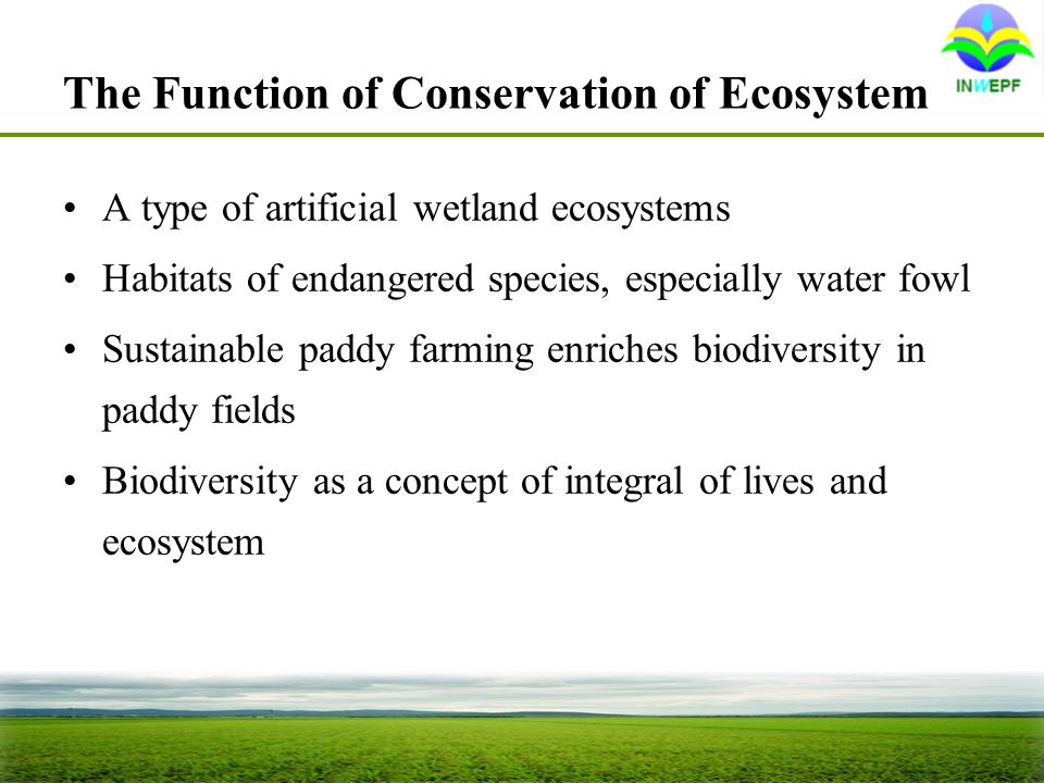 The Function of Conservation of Ecosystem A type of artificial wetland ecosystems Habitats of endangered species, especially water fowl Sustainable paddy farming enriches biodiversity in paddy fields Biodiversity as a concept of integral of lives and ecosystem