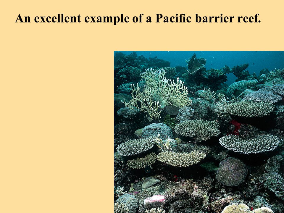 An excellent example of a Pacific barrier reef.