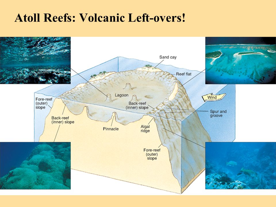 Atoll Reefs: Volcanic Left-overs!