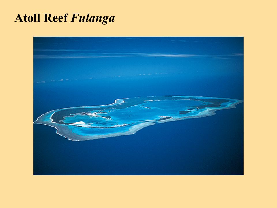 Atoll Reef Fulanga