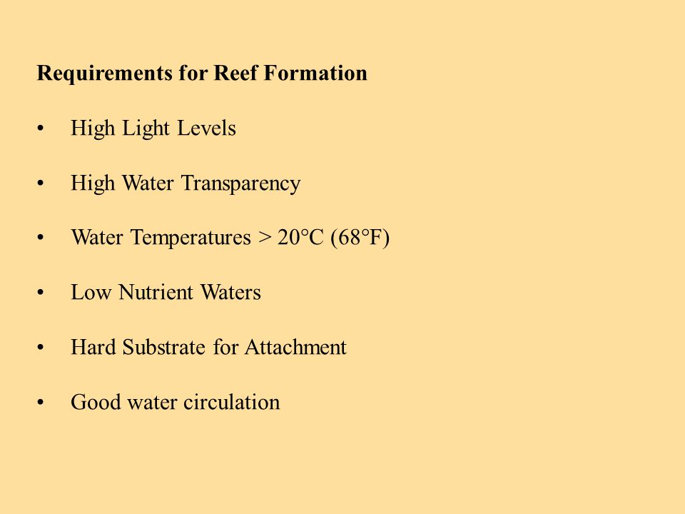 Requirements for Reef Formation High Light Levels High Water Transparency Water Temperatures > 20°C (68°F) Low Nutrient Waters Hard Substrate for Attachment Good water circulation