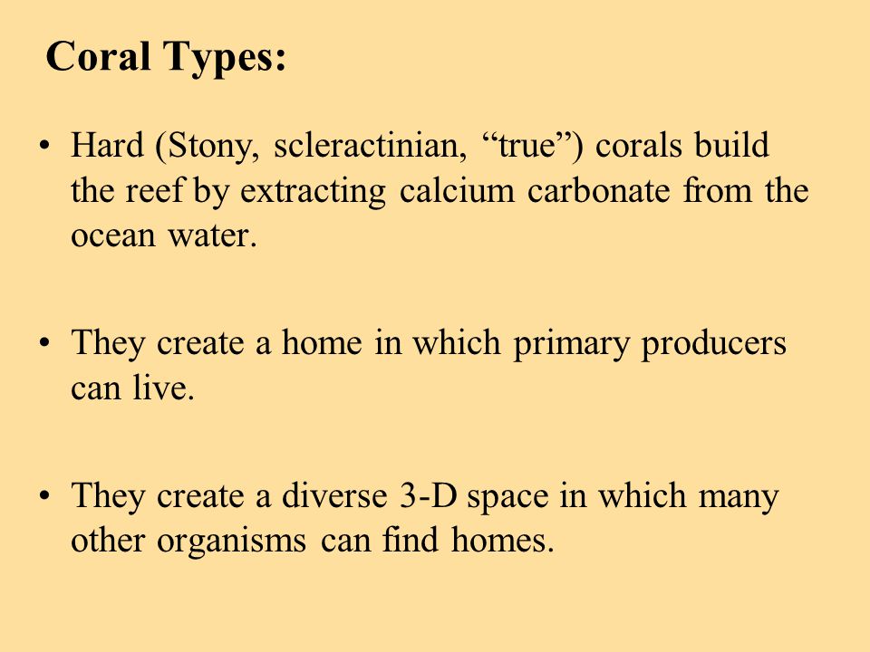 Coral Types: Hard (Stony, scleractinian, true ) corals build the reef by extracting calcium carbonate from the ocean water.