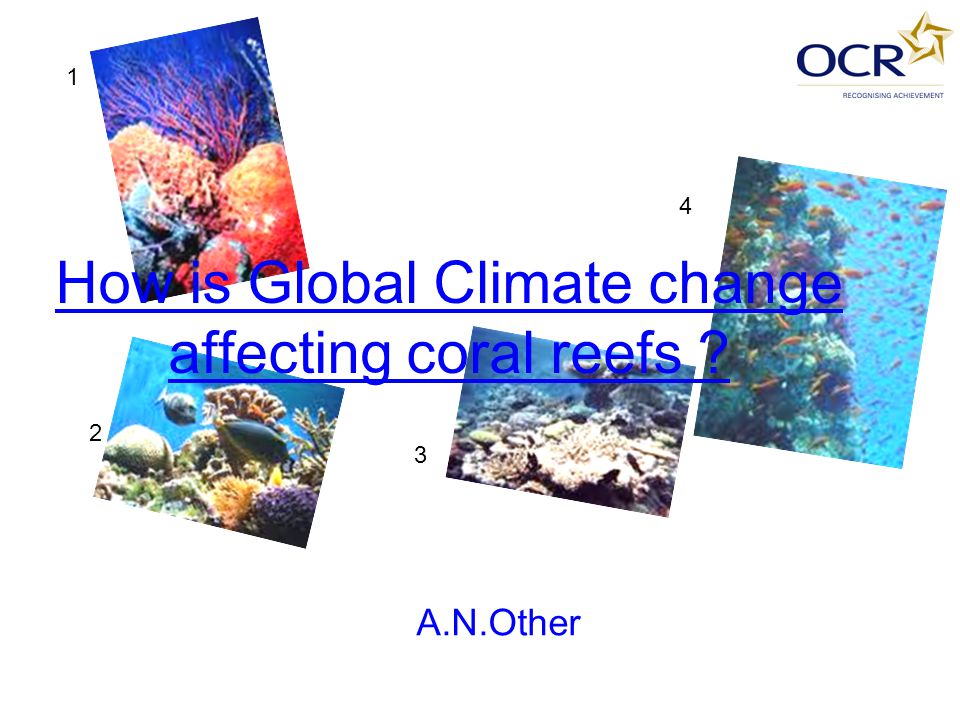How is Global Climate change affecting coral reefs A.N.Other