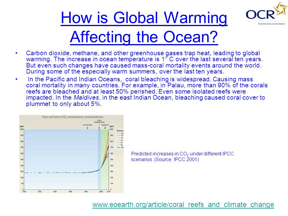 How is Global Warming Affecting the Ocean.