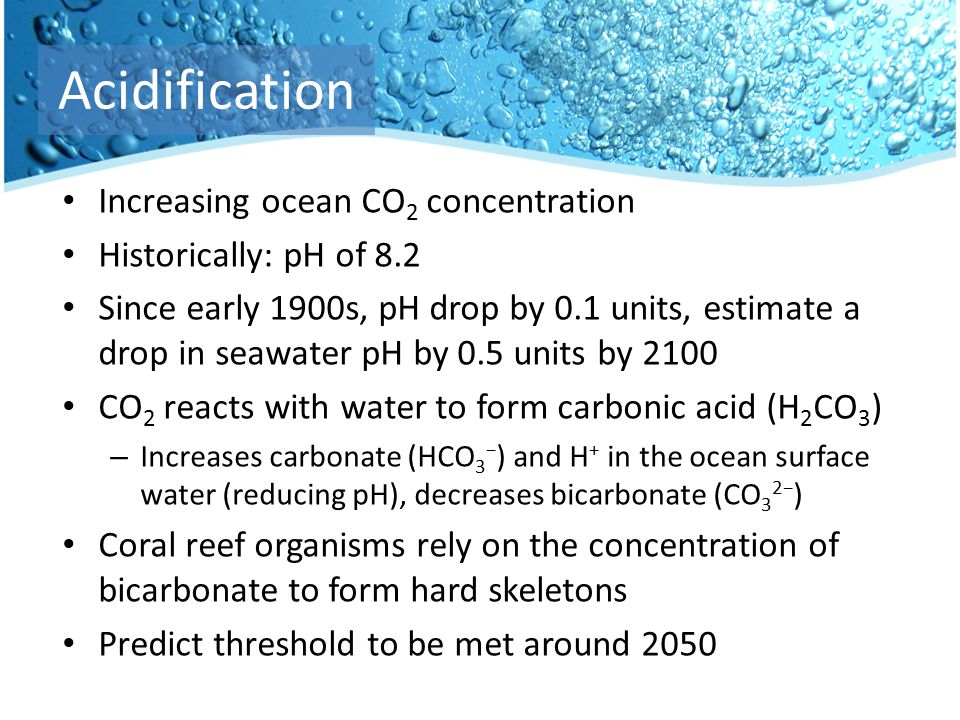 Increasing ocean CO 2 concentration Historically: pH of 8.2 Since early 1900s, pH drop by 0.1 units, estimate a drop in seawater pH by 0.5 units by 2100 CO 2 reacts with water to form carbonic acid (H 2 CO 3 ) – Increases carbonate (HCO 3 − ) and H + in the ocean surface water (reducing pH), decreases bicarbonate (CO 3 2− ) Coral reef organisms rely on the concentration of bicarbonate to form hard skeletons Predict threshold to be met around 2050 Acidification