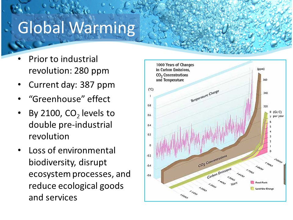 Prior to industrial revolution: 280 ppm Current day: 387 ppm Greenhouse effect By 2100, CO 2 levels to double pre-industrial revolution Loss of environmental biodiversity, disrupt ecosystem processes, and reduce ecological goods and services Global Warming