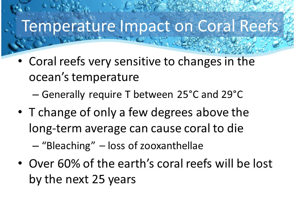 Coral reefs very sensitive to changes in the ocean’s temperature – Generally require T between 25°C and 29°C T change of only a few degrees above the long-term average can cause coral to die – Bleaching – loss of zooxanthellae Over 60% of the earth’s coral reefs will be lost by the next 25 years Temperature Impact on Coral Reefs