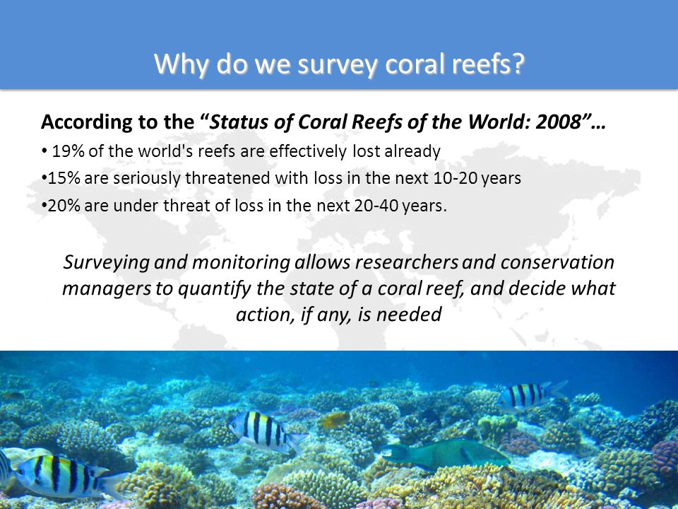 WALLACE RESOURCE LIBRARY Lecture 05 – How to Survey a Coral Reef ...