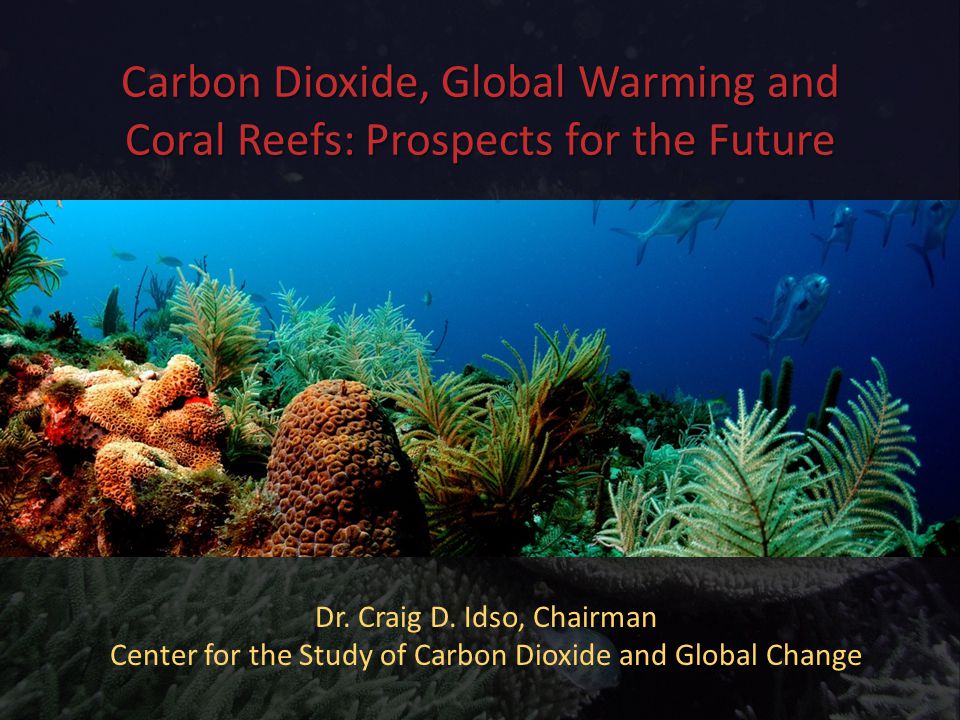 Carbon Dioxide, Global Warming and Coral Reefs: Prospects for the Future Dr.