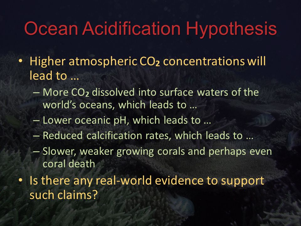 Ocean Acidification Hypothesis Higher atmospheric CO 2 concentrations will lead to … Higher atmospheric CO 2 concentrations will lead to … – More CO 2 dissolved into surface waters of the world’s oceans, which leads to … – Lower oceanic pH, which leads to … – Reduced calcification rates, which leads to … – Slower, weaker growing corals and perhaps even coral death Is there any real-world evidence to support such claims.