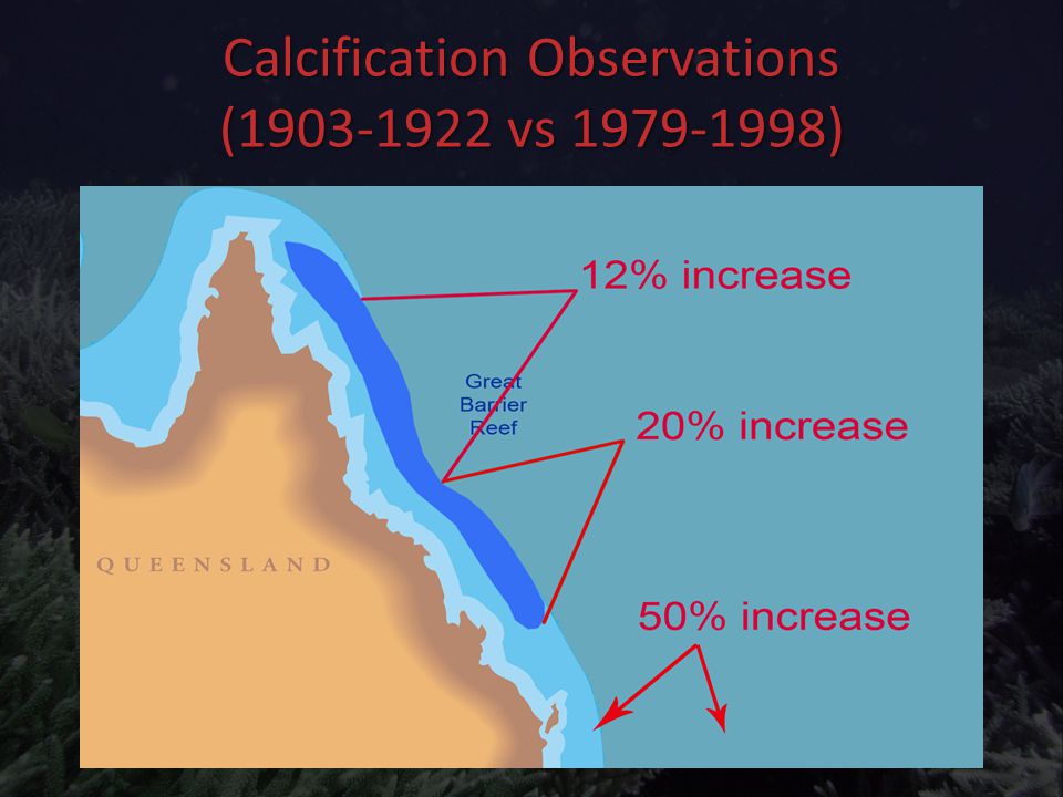 Calcification Observations ( vs )