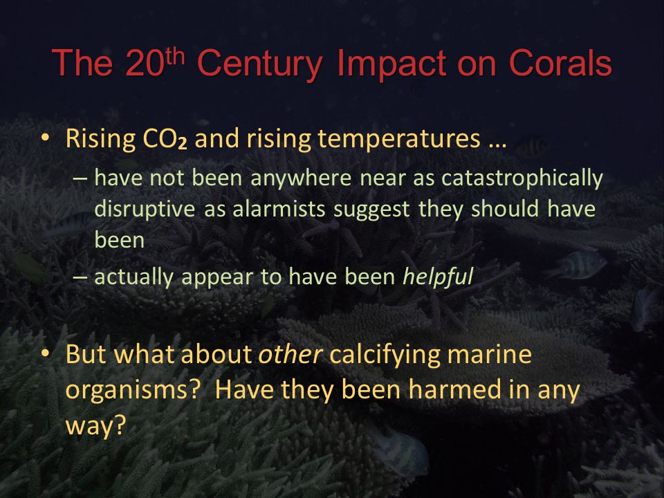 The 20 th Century Impact on Corals Rising CO 2 and rising temperatures … Rising CO 2 and rising temperatures … – have not been anywhere near as catastrophically disruptive as alarmists suggest they should have been – actually appear to have been helpful But what about other calcifying marine organisms.