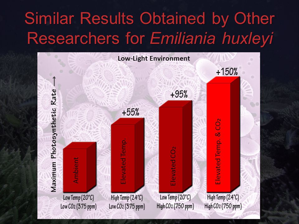 Similar Results Obtained by Other Researchers for Emiliania huxleyi Low-Light Environment Ambient Elevated Temp.