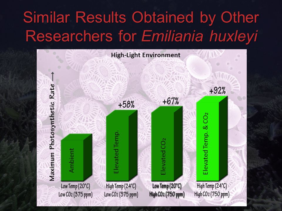 Similar Results Obtained by Other Researchers for Emiliania huxleyi Ambient Elevated Temp.