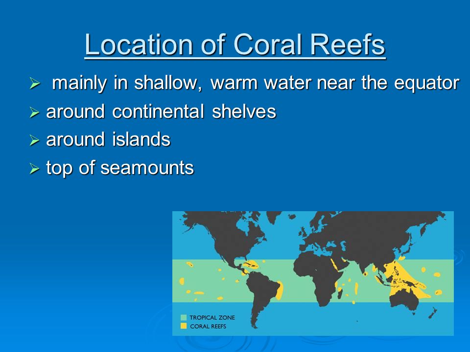Location of Coral Reefs  mainly in shallow, warm water near the equator  around continental shelves  around islands  top of seamounts