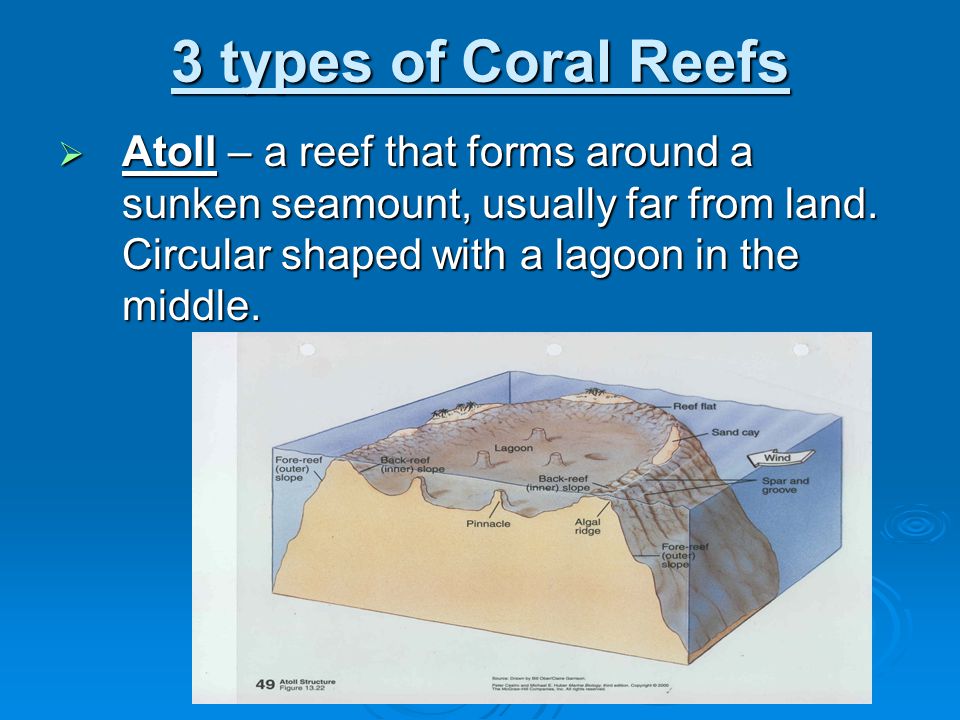3 types of Coral Reefs  Atoll – a reef that forms around a sunken seamount, usually far from land.
