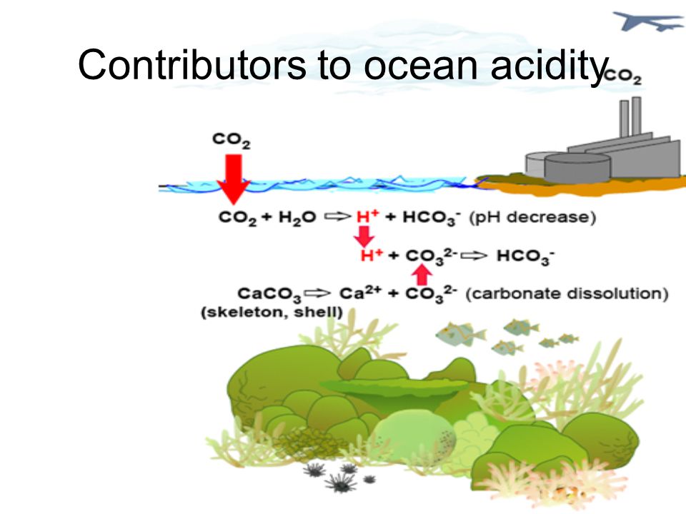Contributors to ocean acidity