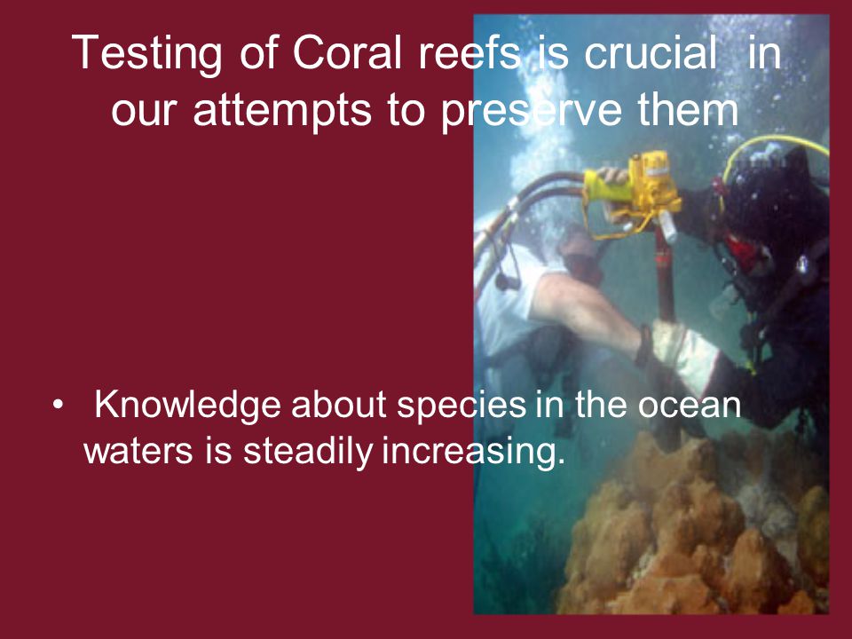 Testing of Coral reefs is crucial in our attempts to preserve them Knowledge about species in the ocean waters is steadily increasing.