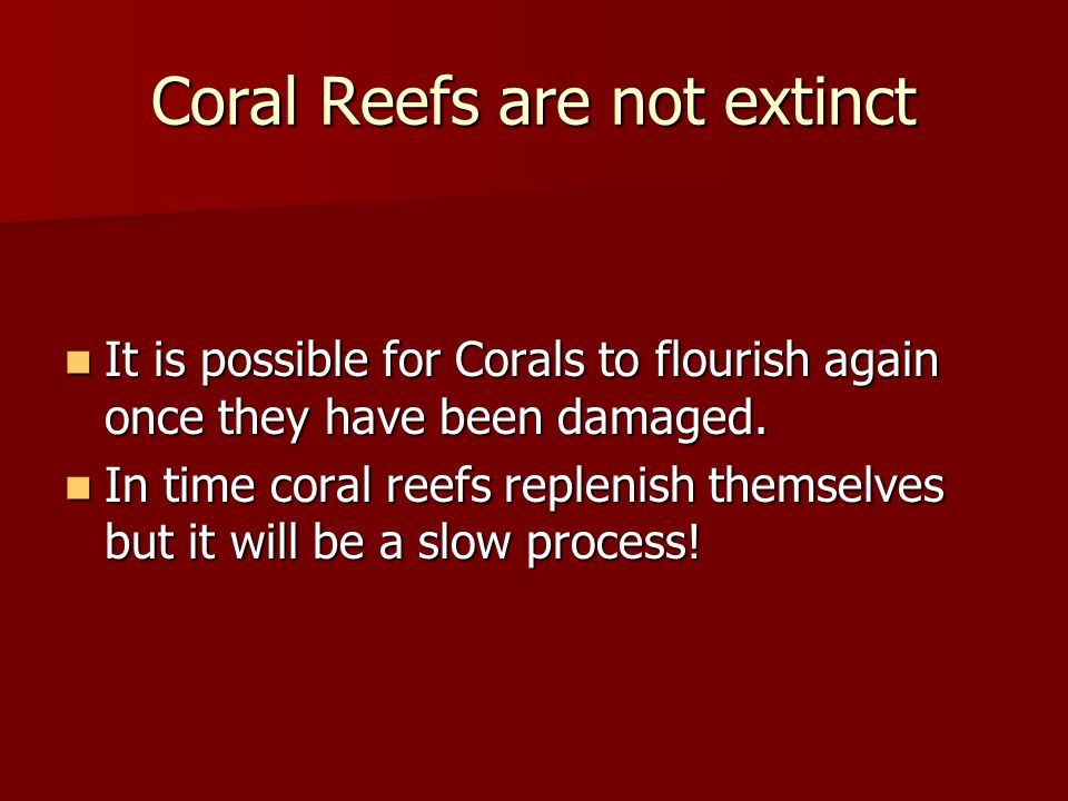 Coral Reefs are not extinct It is possible for Corals to flourish again once they have been damaged.