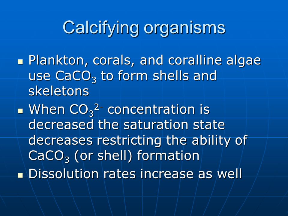 Calcifying organisms Plankton, corals, and coralline algae use CaCO 3 to form shells and skeletons Plankton, corals, and coralline algae use CaCO 3 to form shells and skeletons When CO 3 2- concentration is decreased the saturation state decreases restricting the ability of CaCO 3 (or shell) formation When CO 3 2- concentration is decreased the saturation state decreases restricting the ability of CaCO 3 (or shell) formation Dissolution rates increase as well Dissolution rates increase as well