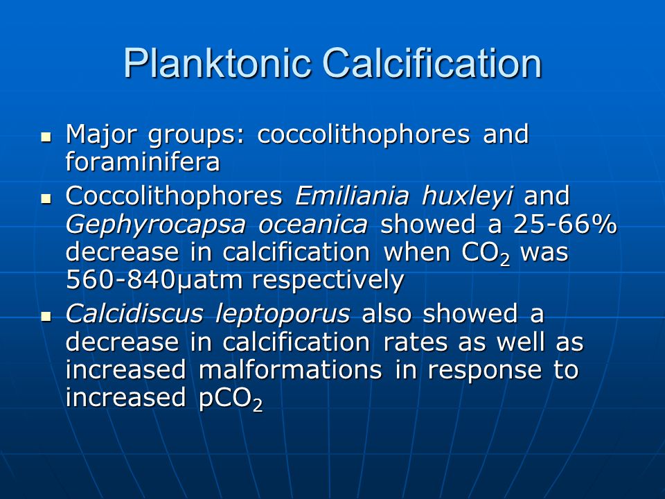 Planktonic Calcification Major groups: coccolithophores and foraminifera Major groups: coccolithophores and foraminifera Coccolithophores Emiliania huxleyi and Gephyrocapsa oceanica showed a 25-66% decrease in calcification when CO 2 was μatm respectively Coccolithophores Emiliania huxleyi and Gephyrocapsa oceanica showed a 25-66% decrease in calcification when CO 2 was μatm respectively Calcidiscus leptoporus also showed a decrease in calcification rates as well as increased malformations in response to increased pCO 2 Calcidiscus leptoporus also showed a decrease in calcification rates as well as increased malformations in response to increased pCO 2