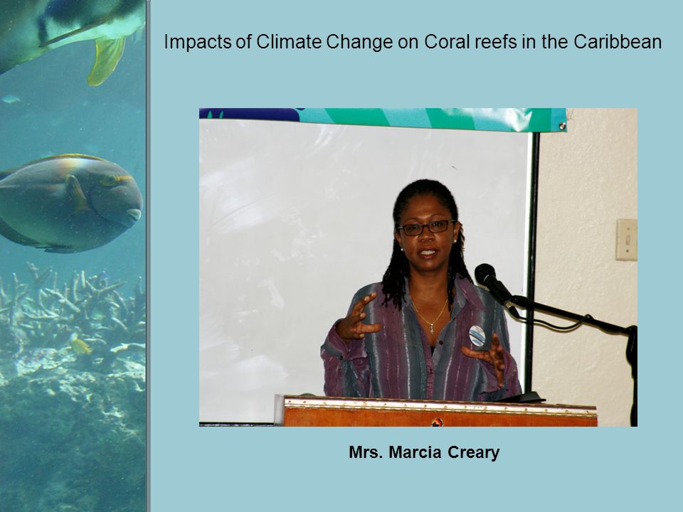 Impacts of Climate Change on Coral reefs in the Caribbean Mrs. Marcia Creary