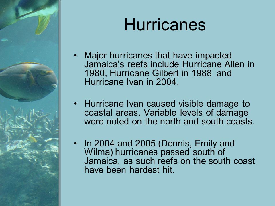 Hurricanes Major hurricanes that have impacted Jamaica’s reefs include Hurricane Allen in 1980, Hurricane Gilbert in 1988 and Hurricane Ivan in 2004.
