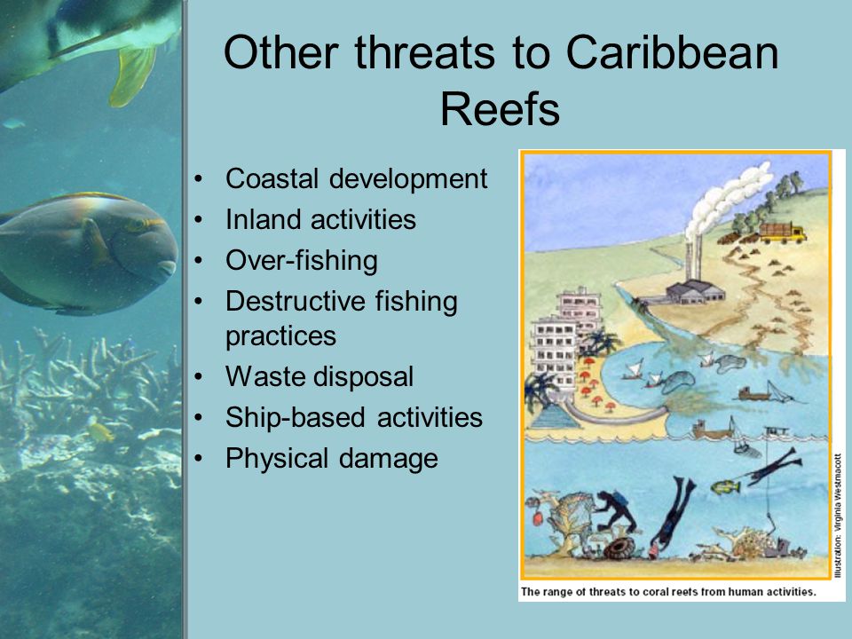 Other threats to Caribbean Reefs Coastal development Inland activities Over-fishing Destructive fishing practices Waste disposal Ship-based activities Physical damage