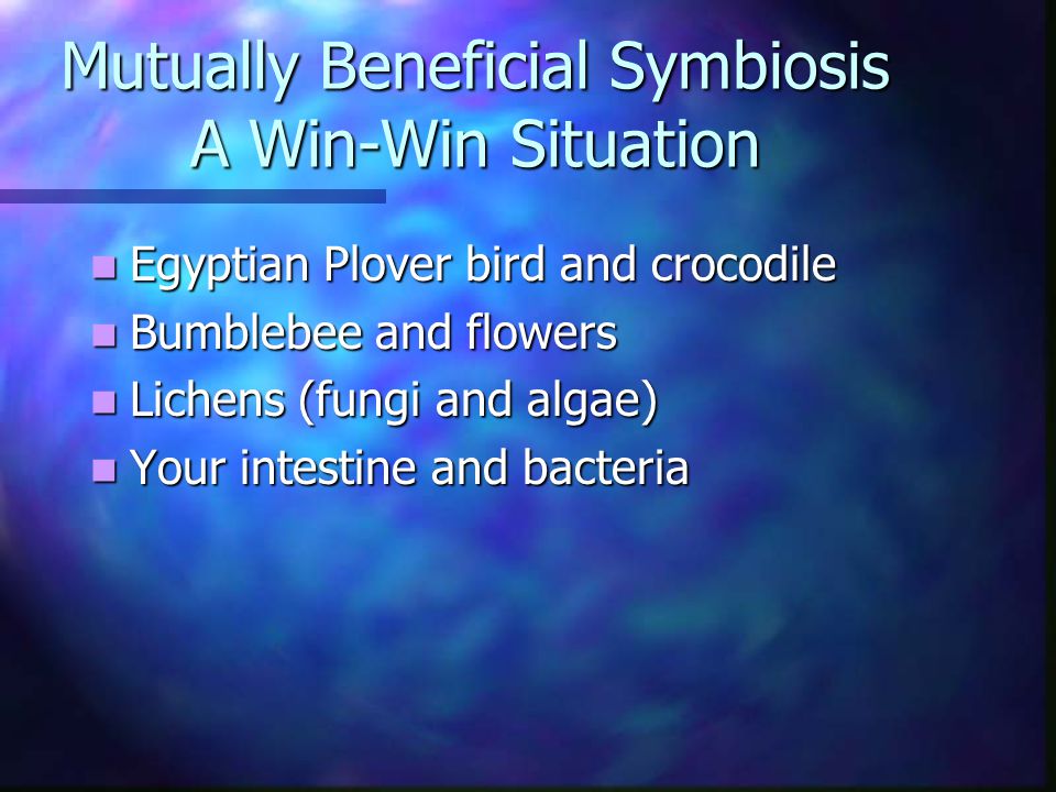 Mutually Beneficial Symbiosis A Win-Win Situation Egyptian Plover bird and crocodile Egyptian Plover bird and crocodile Bumblebee and flowers Bumblebee and flowers Lichens (fungi and algae) Lichens (fungi and algae) Your intestine and bacteria Your intestine and bacteria